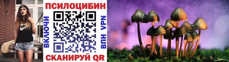 Псилоцибиновые грибы Psilocybine cubensis  Купить  Клин 